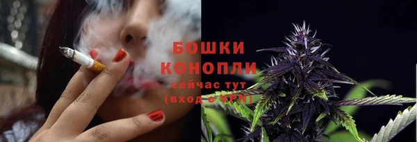 прущая мука Каменногорск