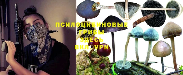 прущая мука Каменногорск