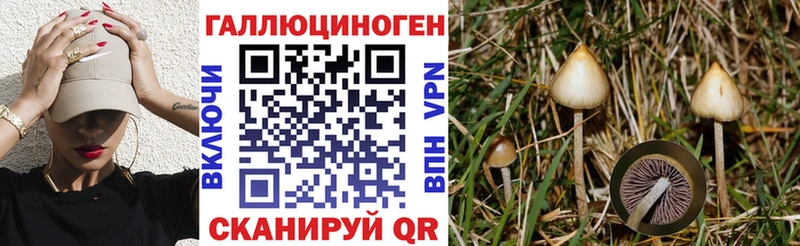 где найти наркотики  Кашира  Псилоцибиновые грибы прущие грибы 