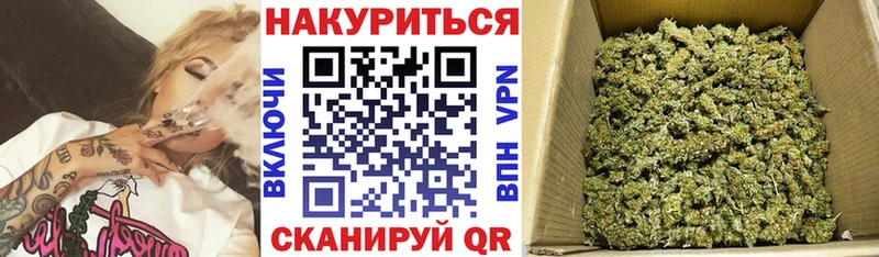OMG   Кашира  Бошки Шишки тримм 